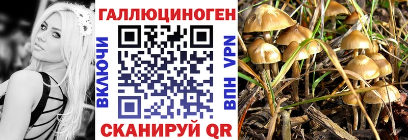 Галлюциногенные грибы прущие грибы  Сальск 
