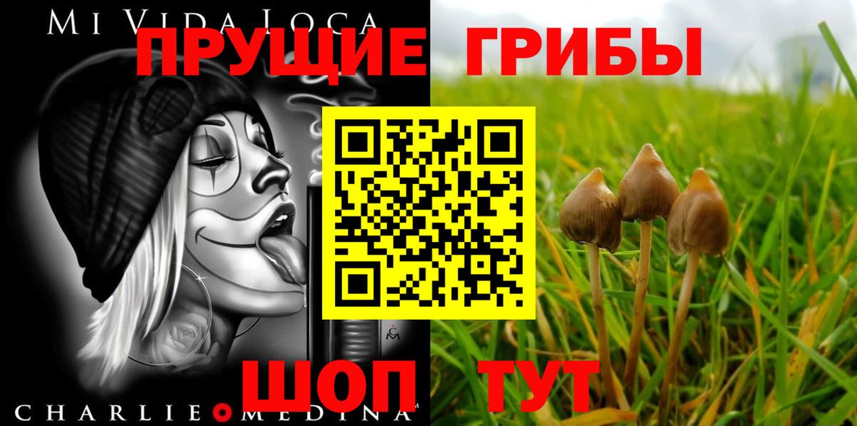 Псилоцибиновые грибы MAGIC MUSHROOMS Сальск