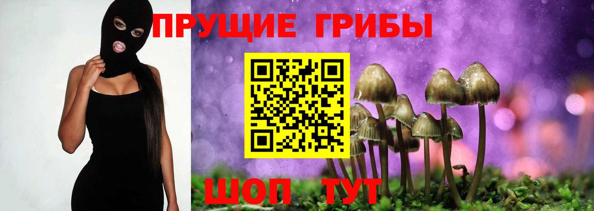 Сальск  Псилоцибиновые грибы MAGIC MUSHROOMS  Вход с VPN 